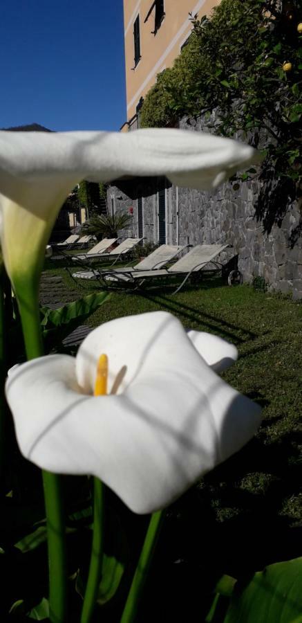 Hotel La Gerbera Levanto Zewnętrze zdjęcie